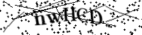 Bitte geben Sie die Buchstaben unten ein.