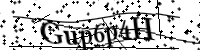Bitte geben Sie die Buchstaben unten ein.