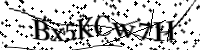Bitte geben Sie die Buchstaben unten ein.