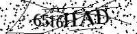 Bitte geben Sie die Buchstaben unten ein.