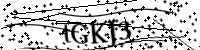Bitte geben Sie die Buchstaben unten ein.