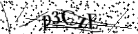 Bitte geben Sie die Buchstaben unten ein.
