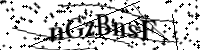 Bitte geben Sie die Buchstaben unten ein.