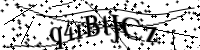 Bitte geben Sie die Buchstaben unten ein.