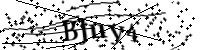 Bitte geben Sie die Buchstaben unten ein.
