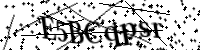 Bitte geben Sie die Buchstaben unten ein.