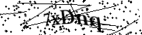 Bitte geben Sie die Buchstaben unten ein.