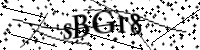 Bitte geben Sie die Buchstaben unten ein.