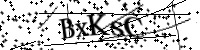 Bitte geben Sie die Buchstaben unten ein.