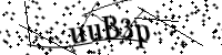 Bitte geben Sie die Buchstaben unten ein.