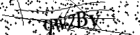 Bitte geben Sie die Buchstaben unten ein.