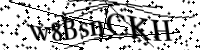 Bitte geben Sie die Buchstaben unten ein.