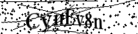 Bitte geben Sie die Buchstaben unten ein.