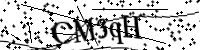 Bitte geben Sie die Buchstaben unten ein.