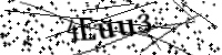 Bitte geben Sie die Buchstaben unten ein.