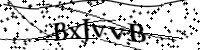 Bitte geben Sie die Buchstaben unten ein.