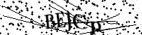 Bitte geben Sie die Buchstaben unten ein.