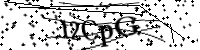Bitte geben Sie die Buchstaben unten ein.
