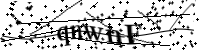 Bitte geben Sie die Buchstaben unten ein.