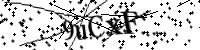 Bitte geben Sie die Buchstaben unten ein.