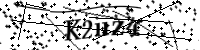 Bitte geben Sie die Buchstaben unten ein.